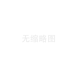 公司新网站开始运行